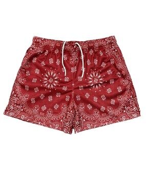 Bravest Studios Burgundy Paisley Mesh Shorts NWT Red Bandana Streetwear Men's M